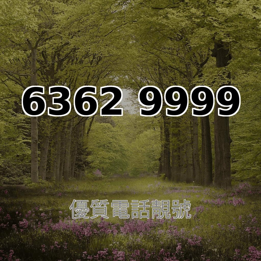 四條尾63629999