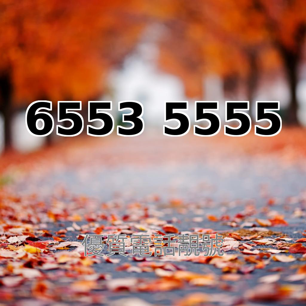 吉祥靚號65535555