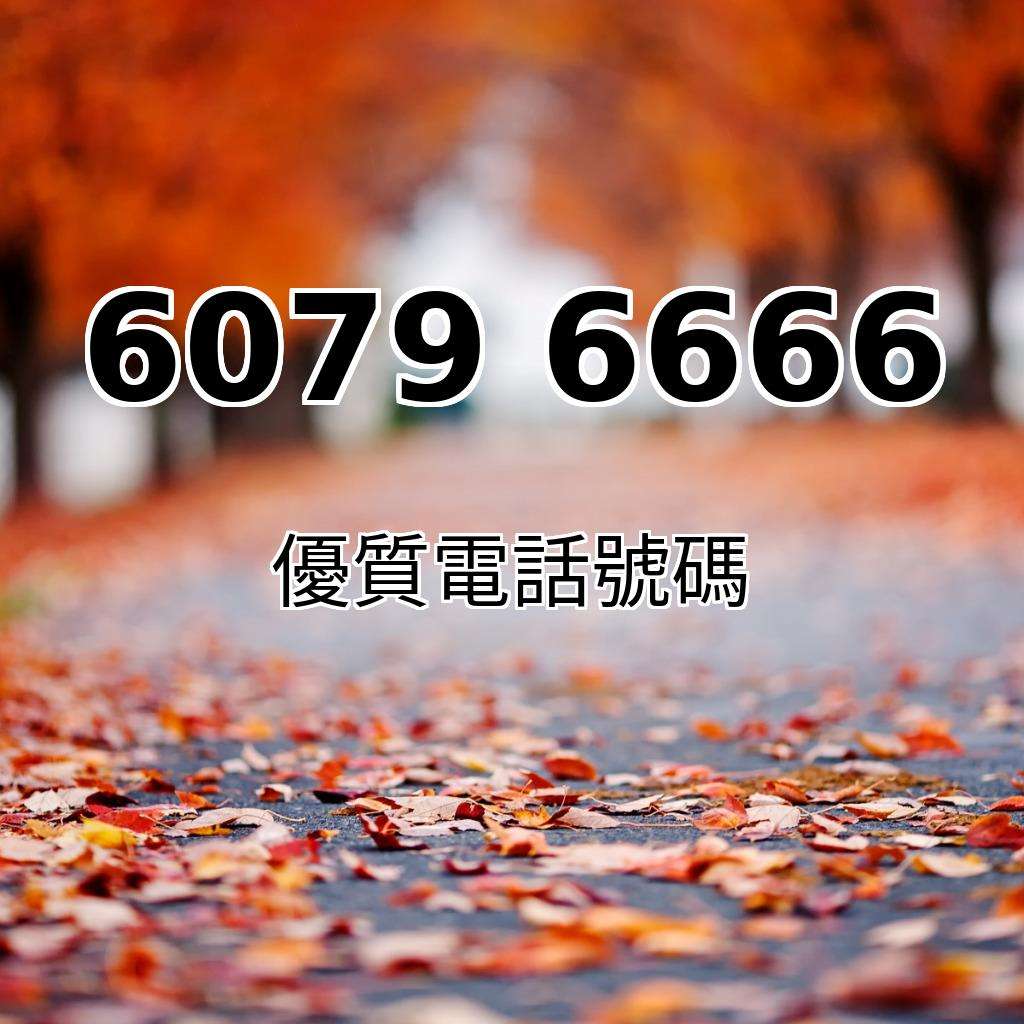 超級靚號60796666