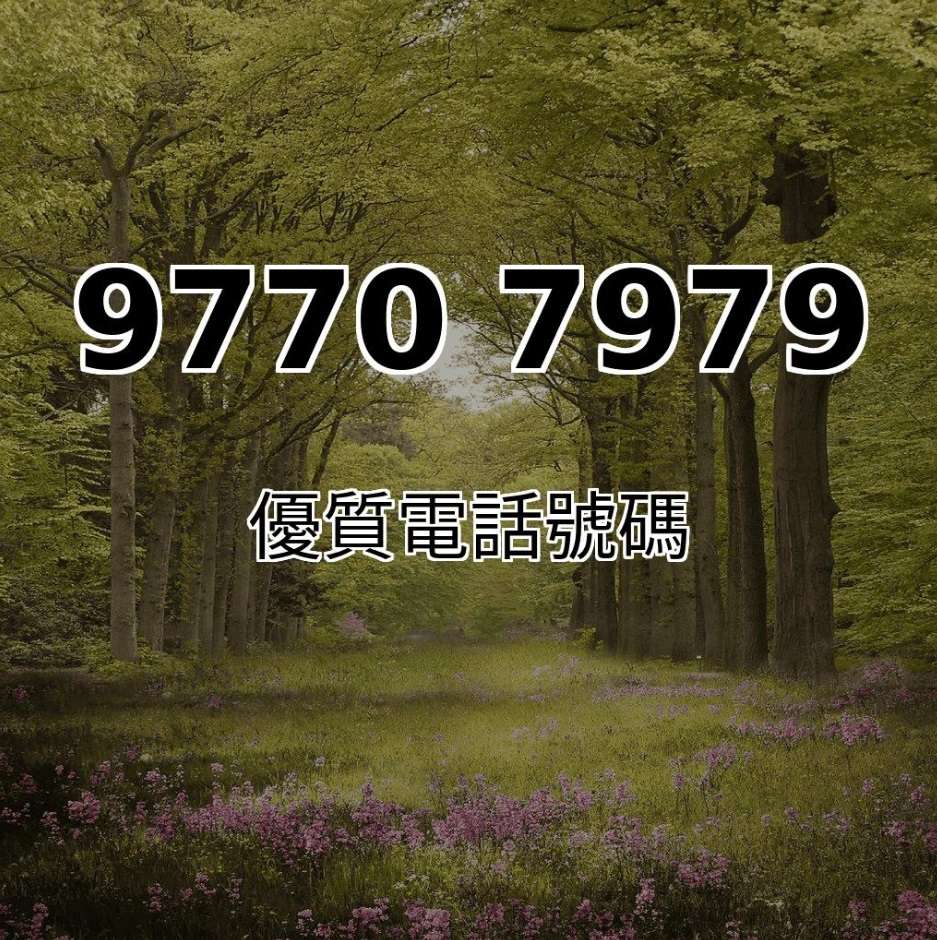 靚號推介97707979