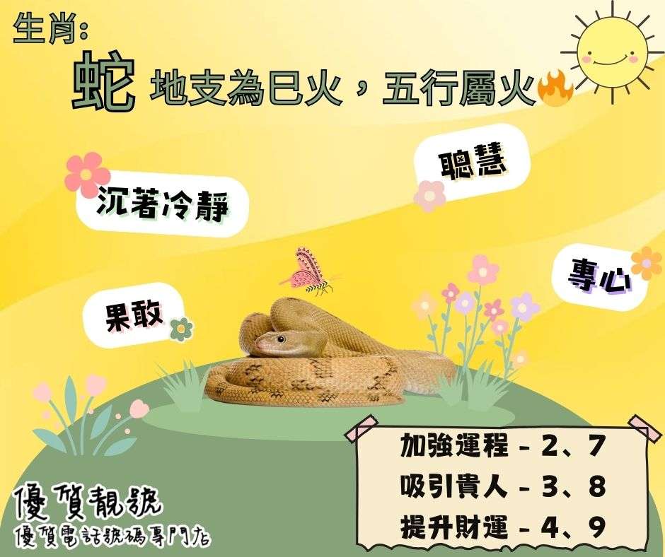 【生肖懶人包－蛇】_