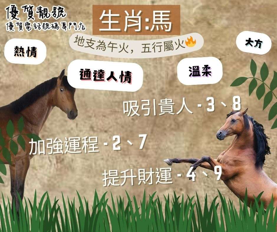 【生肖懶人包－馬】_