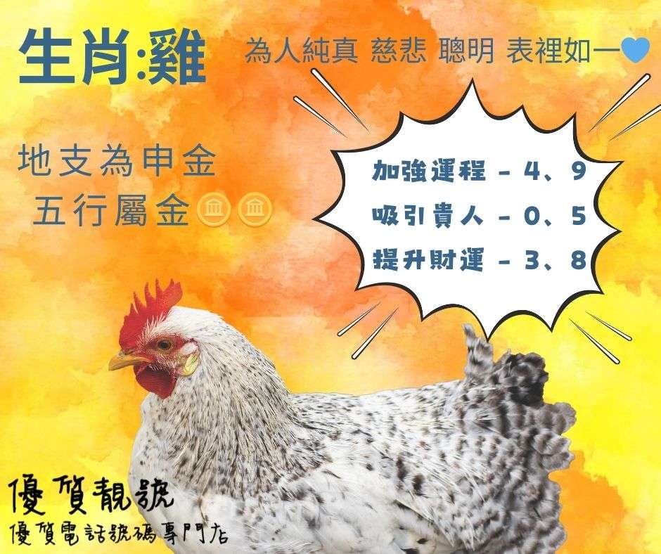 【生肖懶人包－雞】_